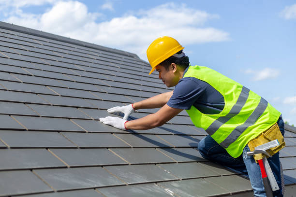 Best Roofing Contractor Near Me  in Nashotah, WI