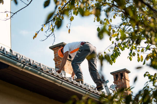 Best Gutter Installation and Roofing  in Nashotah, WI