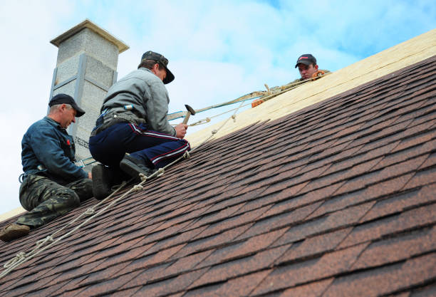 Best Best Roofing Contractors  in Nashotah, WI