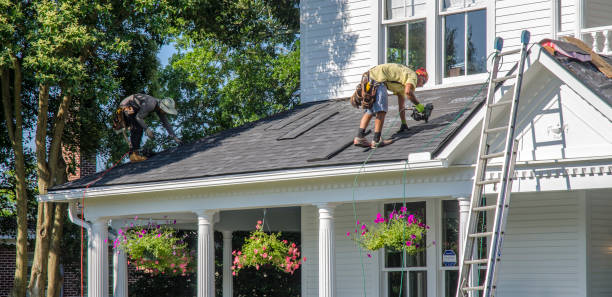 Best Roof Gutter Cleaning  in Nashotah, WI